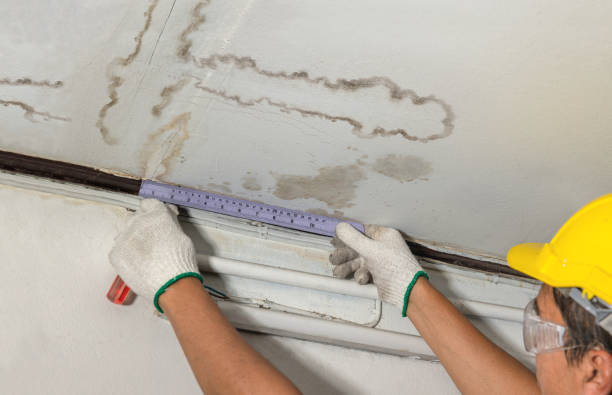 Reliable Burst Pipe Cleanup contractor in Spring Valley, IL by Water Damage Irwin